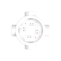 Base porcelana 4 salidas para tubo 20 mm | Fábrica Tu Lámpara