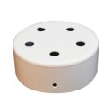 Soporte metal color blanco 100mm diámetro y cinco salidas