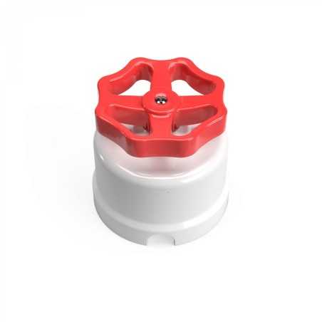 Conmutador porcelana blanco con roseta de colores
