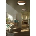 Lámpara techo acero LED integrado negro mate MAINXE